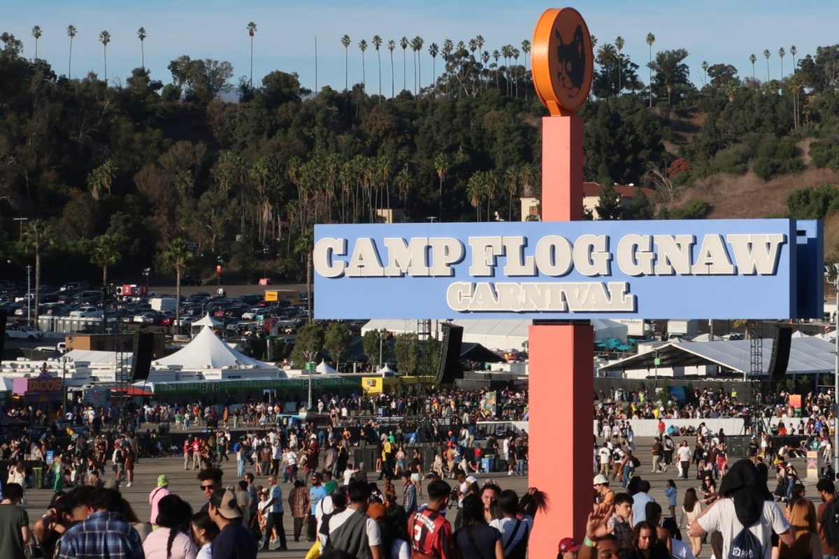 Camp Flog Gnaw