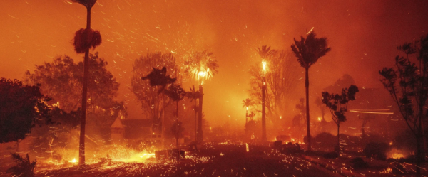 Devastation In LA